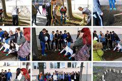 Ученици, от три клуба в СУ „Братя Каназиреви“, засадиха ирландски луковици, по проект „Жълт минзухар“