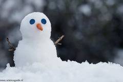 До края на ноември температурите остават ниски, но сняг не се очаква