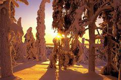 Кои са най-безопасните страни за пътуване