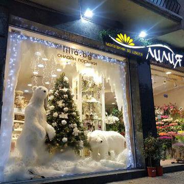 Магазини за цветя Лилия on Public Accounts Scan to follow