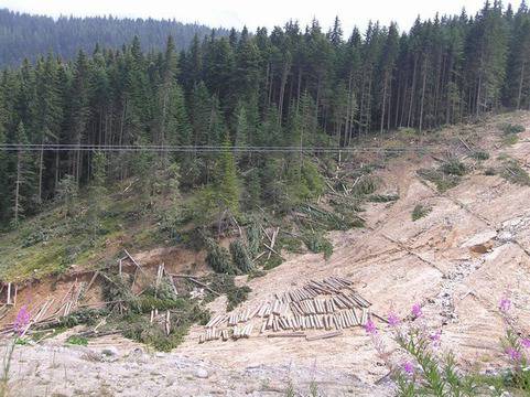 WWF с глобална кампания за Пирин