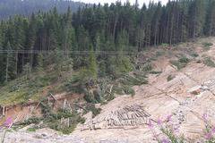 WWF с глобална кампания за Пирин