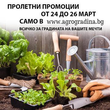 ПРОЛЕТНИ ПРОМОЦИИ