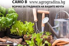 ПРОЛЕТНИ ПРОМОЦИИ