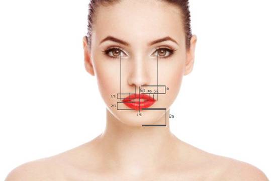 Божествената пропорция на лицето е и символ за красота и съвършенство