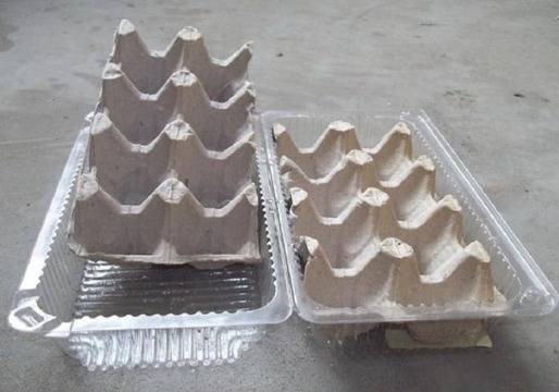 Супер трик и мигновен ефект! Вижте как да си засеете пресен лук, без да имате градина!