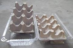 Супер трик и мигновен ефект! Вижте как да си засеете пресен лук, без да имате градина!