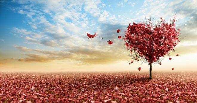 Малко хора ще доживеят пенсия