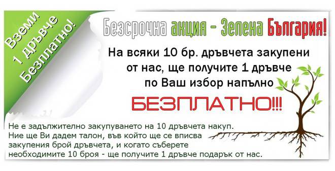 Овощни дръвчета – 10плюс1