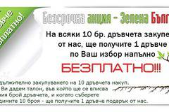 Овощни дръвчета – 10плюс1