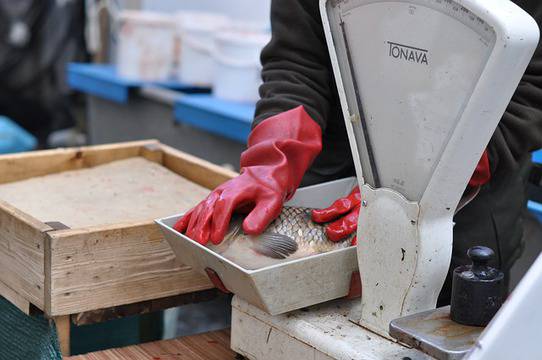 Ето как да изчистите рибата за Никулден!