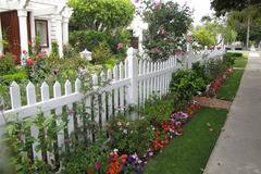 Озеленяване на огради