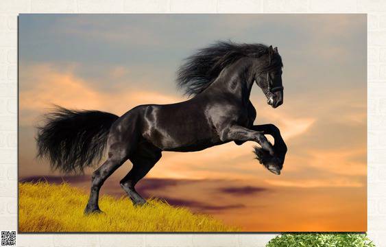 Декоративно пано за стена от 1 част с буен черен жребец – HD-022-1