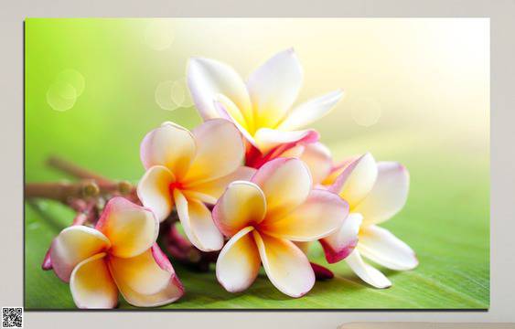 Декоративно пано за стена от 1 част с нежно цвете – HD-017-1