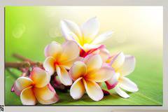 Декоративно пано за стена от 1 част с нежно цвете – HD-017-1