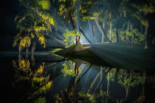 Най-добрите сватбени снимки от цял свят