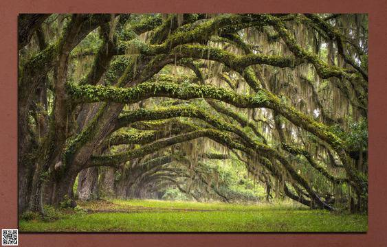 Декоративно пано за стена от 1 част с Приказна гора – HD-019-1