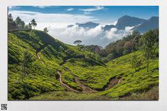 Декоративно пано за стена от 1 част с величествен планински пейзаж – HD-028-1