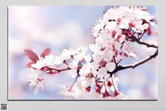 Декоративно пано за стена от 1 част – Пролетно настроение – HD-016-1