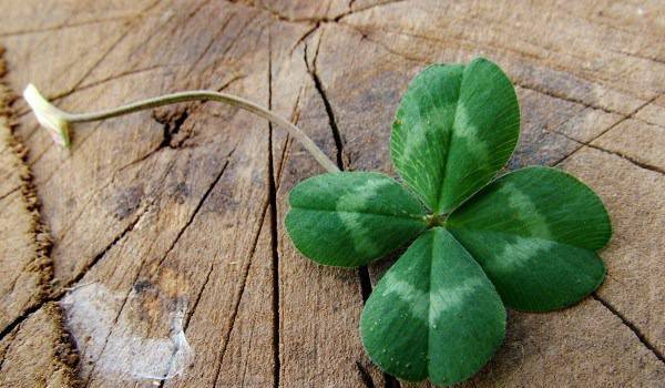 4 зодии ще имат много голям късмет през 2017! Вижте кои са те!