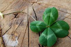 4 зодии ще имат много голям късмет през 2017! Вижте кои са те!