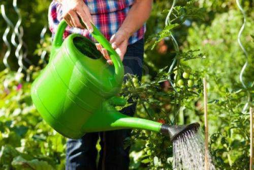 Как да пестим вода при поливане
