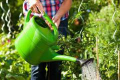 Как да пестим вода при поливане