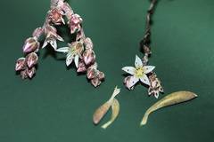 Кръстиха рядко растение на Джими Хендрикс