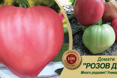 Домат Розов дар