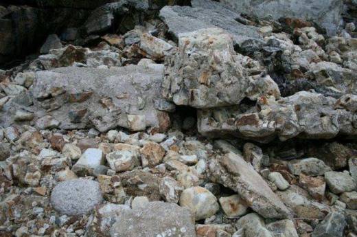 Забавен очен тест: Открийте войниците на снимката!