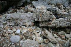 Забавен очен тест: Открийте войниците на снимката!