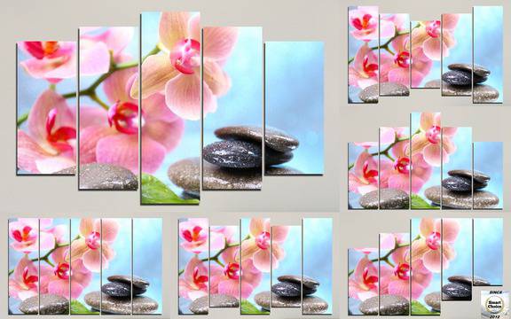 Декоративно пано за стена от 5 части с розова Орхидея и Дзен камъни – HD-569