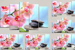Декоративно пано за стена от 5 части с розова Орхидея и Дзен камъни – HD-569