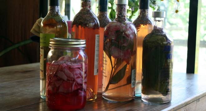 Най-популярните рецепти на билки, киснати във вино