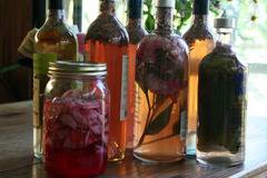 Най-популярните рецепти на билки, киснати във вино