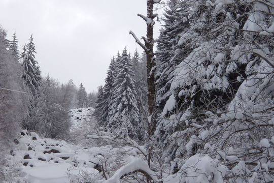 Времето през януари 2017 – по-студено от обичайното