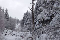 Времето през януари 2017 – по-студено от обичайното