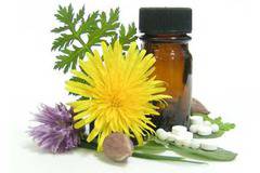 Билки и добавки може да са опасни, смесени с лекарства