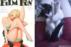 15+ снимки на котки, които имитират палави ретро плакати