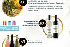 Спечелете винен тур, 5 кашона с вино и 20 бутилки вино от Ловико Сухиндол