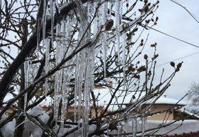 Очакваната ледена вълна ще засегне най-сериозно областите Шумен, Варна, Добрич, Силистра и Разград