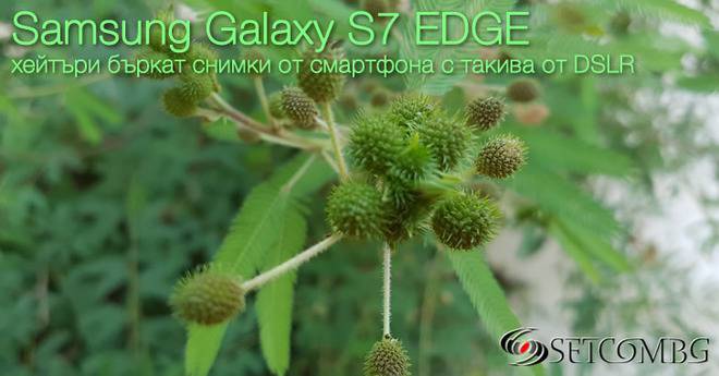 Samsung Galaxy S7 Edge е най-добрият камерафон – Хейтърите потвърждават!
