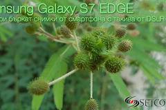 Samsung Galaxy S7 Edge е най-добрият камерафон – Хейтърите потвърждават!