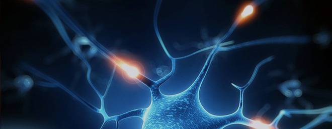 Нервни клетки в централната нервна система