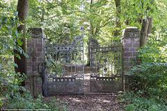 Супер тест за наблюдателност: Открийте жената на снимките!