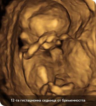 Бременност – видове проследяване