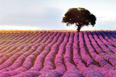 101 романтични места в България