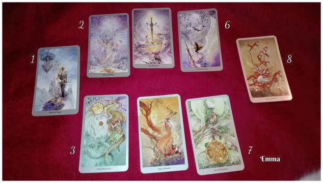 Подредба „Избори“