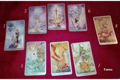 Подредба „Избори“