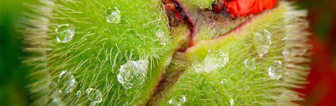 Какво ново при LEGO® TEC екипи за ски